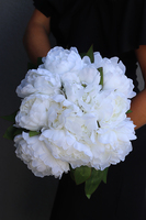 Aura, bukiet białych peonii, wys.38cm