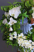 Delfina Orchidea, egzotyczny wianek z białymi kwiatami, śr.49cm 