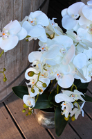 duży storczyk w aluminiowej donicy Bella Italia wys.85cm