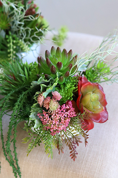 Maria Biel, kompozycja sukulenty w okrągłej donicy, wys.16cm