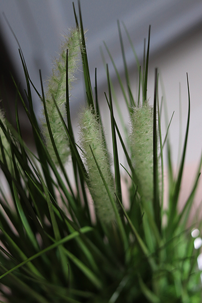 stylowa sztuczna trawa, Meridio, wys.45cm