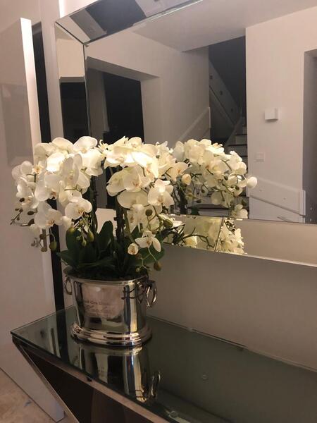 Alessio, ekskluzywny storczyk w coolerze, wys.85cm