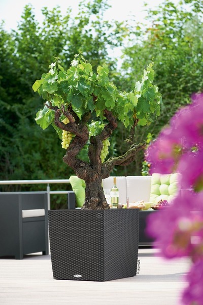 Cube Cottage, elegancka donica z nawadnianiem, szara, wym.30x30cm