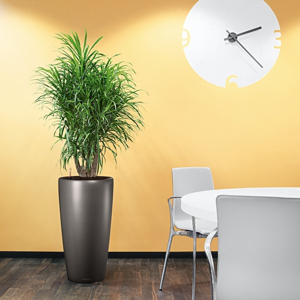 Rondo, wysoka donica z nawadnianiem, antracyt, wym.56x32cm