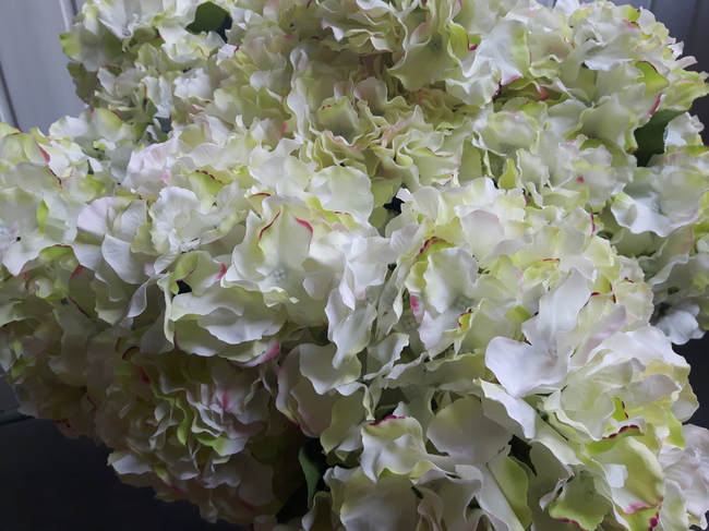 bogaty kosz ze szlachetnymi hortensjami White Ocean 65x60cm 