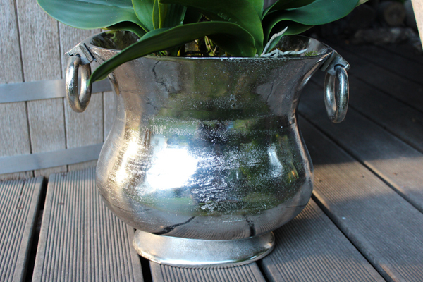 duży storczyk w aluminiowej donicy Bella Italia wys.85cm