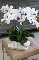 storczyk w donicy o marmurowym wzorze Marbello Big, wys.55cm