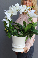 Miłość, sztuczny storczyk z dodatkiem pędów bluszczu, wys.49cm