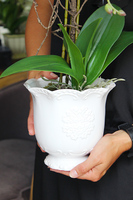 sztuczny storczyk w pięknej donicy Paloma, wys.55cm