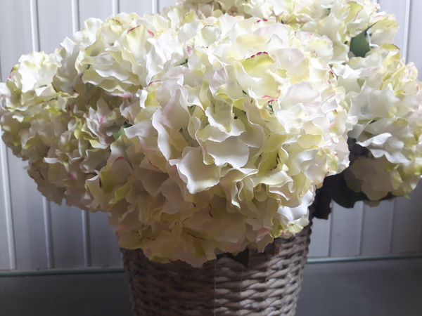 bogaty kosz ze szlachetnymi hortensjami White Ocean 65x60cm 