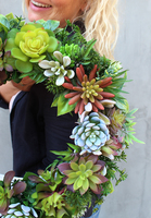 oryginalny wianek na drzwi, Sukulenty, śr.42cm