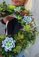 oryginalny wianek na drzwi, Sukulenty, śr.42cm