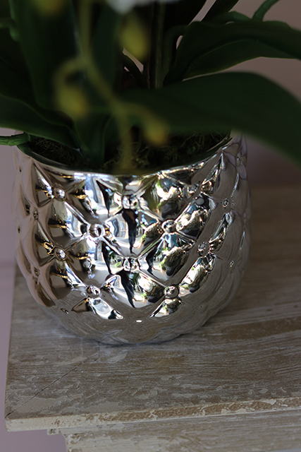 Tellano Small, efektowny storczyk w srebrnej donicy, wys.55cm