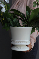 Miłość, sztuczny storczyk z dodatkiem pędów bluszczu, wys.49cm