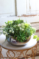 Fenia, kompozycja sukulenty w lustrzanej misie, wym.25x30cm