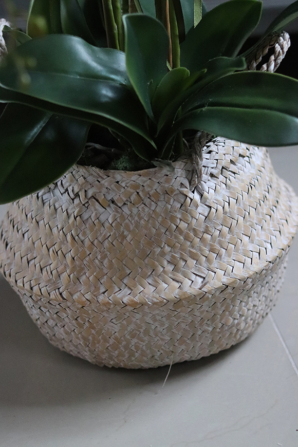 Georgia Small, efektowny storczyk w koszu z trawy, wys.76cm