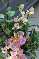 Lucille Granada, kompozycja ze storczykiem w srebrnym wazonie, wys.97cm