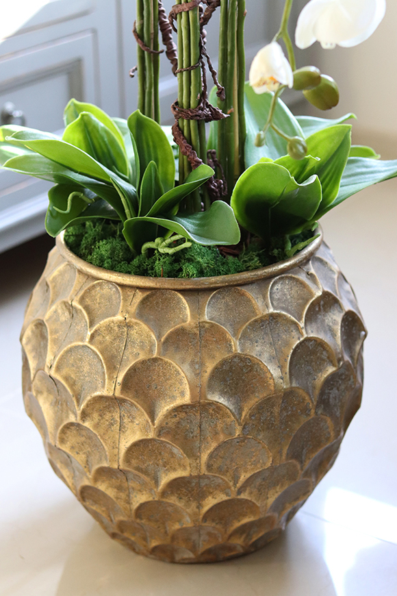 GoldenRose, bardzo elegancki storczyk, wys.100cm