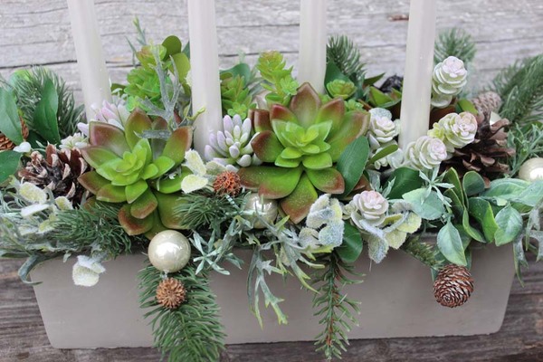 bożonarodzeniowy stroik / kompozycja z Sukulentami wys.35x46x25cm 