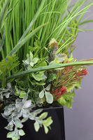 trawy w czarnej donicy fiberglass, Verdana, wys.160cm