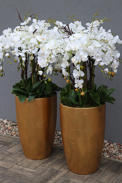 bardzo elegancki storczyk Złota Bajka, wys.140cm