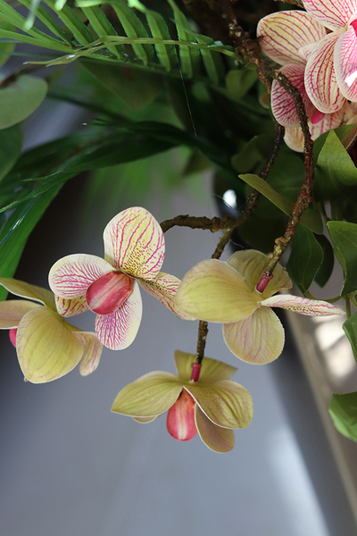 Lucille Granada, kompozycja ze storczykiem w srebrnym wazonie, wys.97cm