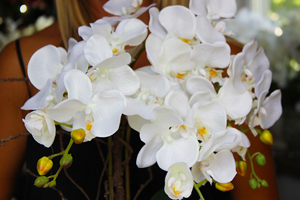 sztuczny storczyk w pięknej donicy Paloma, wys.55cm