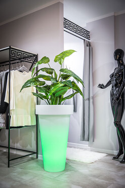 Pons donica podświetlana 16kolorów + pilot 52x90cm