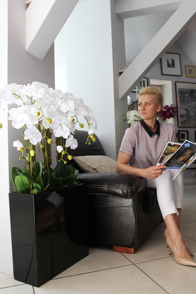 duży storczyk Marco Grande Black, wys.110cm 