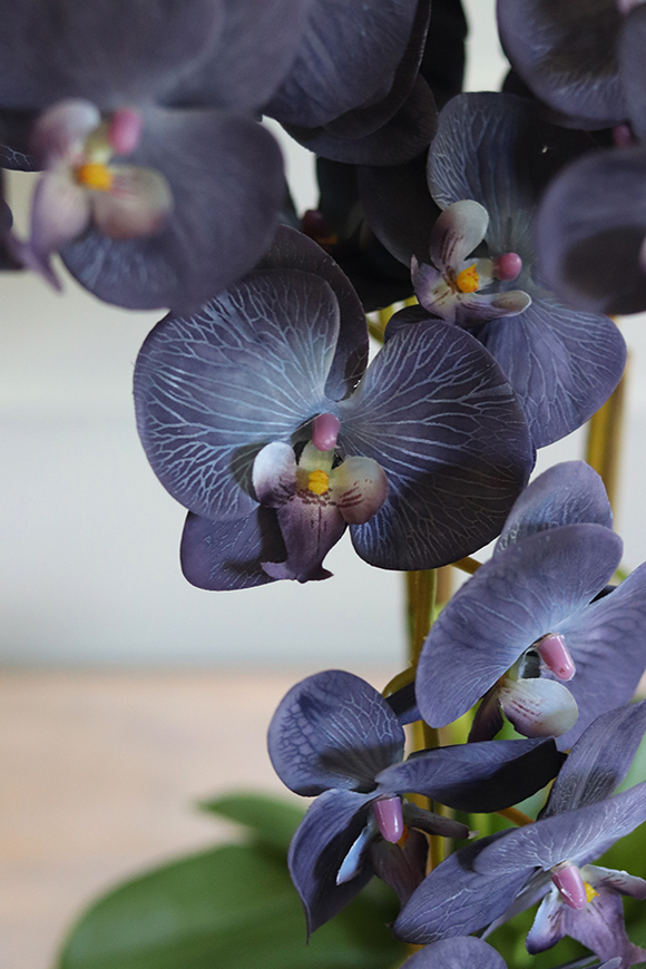 Blunna, niebieski storczyk w ozdobnej donicy, wys.68cm 