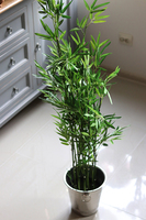 sztuczny bambus w coolerze, Hongkong, wys.120cm