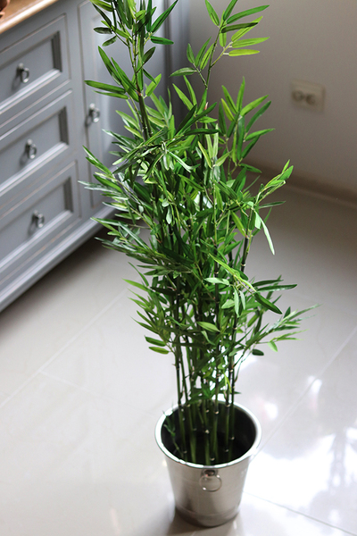 sztuczny bambus w coolerze, Hongkong, wys.120cm