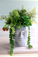 efektowna kompozycja sukulenty, Pstro w Głowie 2, wys.30cm