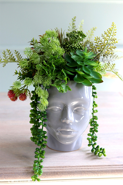 efektowna kompozycja sukulenty, Pstro w Głowie 2, wys.30cm