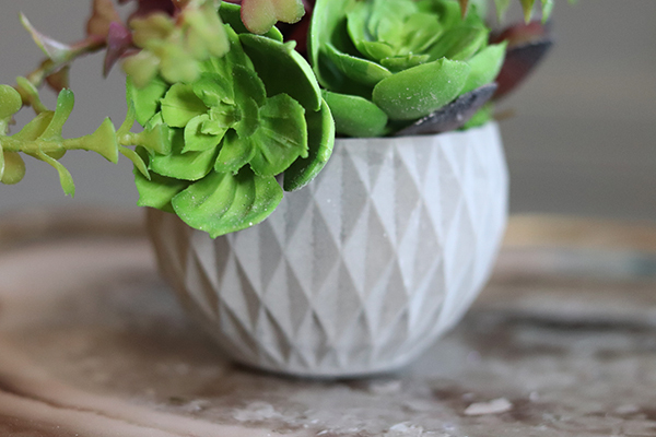 efektowna kompozycja sukulenty, Minimal, wys.12cm