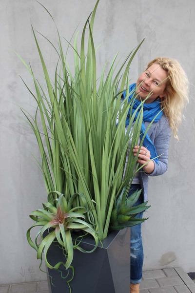 kompozycja Nevis Design, Trawy & Sukulenty w szarej donicy, wys.160cm