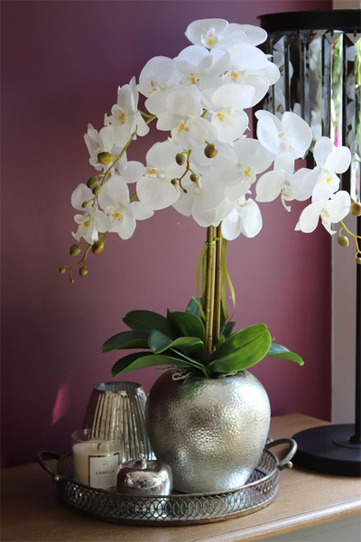 elegancki storczyk w srebrnym kulistym naczyniu, Kumari, wys.72cm 