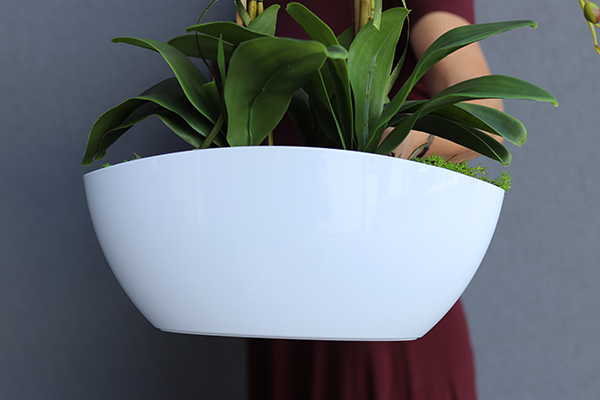 Benicio, biały storczyk, wys.53cm