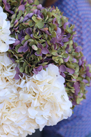 Hortensja Delux, gałązka sztucznej hortensji z listkami, ecru, 1szt., dł.56cm