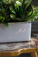 kompozycja z sukulentów w białej donicy, Melania, wys.38cm