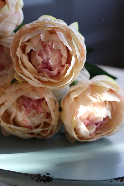 Bella Italia, bukiet herbacianych peoni, 7szt. dł.42cm