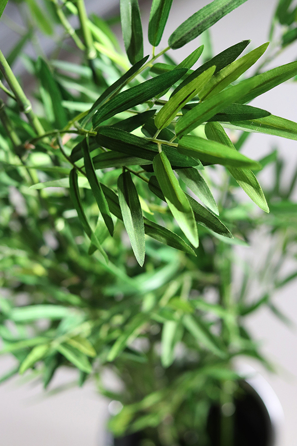 sztuczny bambus w coolerze, Hongkong, wys.120cm