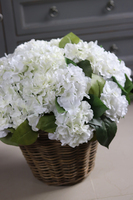 atrakcyjny gęsty kosz z hortensją, Tellia, wym.48x50cm   