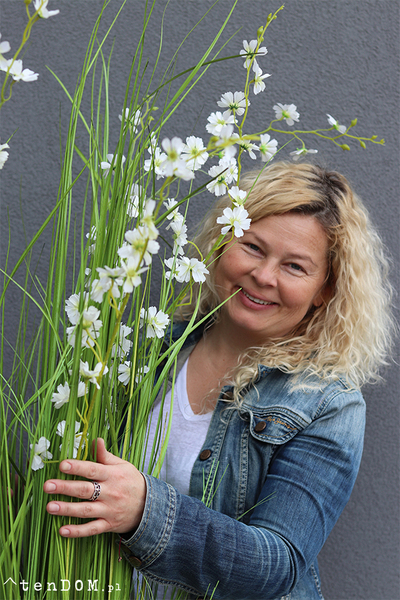 Alija Perra Negra, sztuczna trawa w czarnej donicy, wys.180cm
