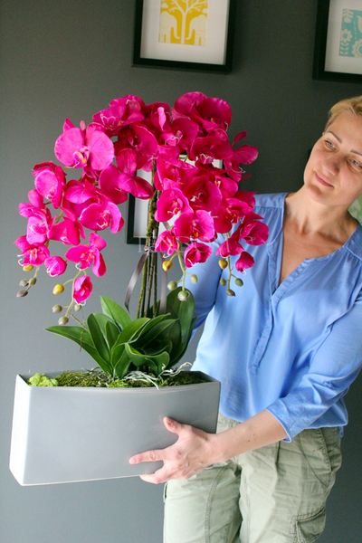 obfity storczyk Sylvia w kolorze fuksji w minimalistycznej donicy, wys.75cm