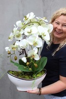 Muza, jasnozielony storczyk w ceramicznej donicy, wys.58cm