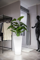 Della donica podświetlana światło zimne 40x75cm