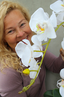 biały, gumowy storczyk Design Modern White 1 w nowoczesnej donicy wys.67cm