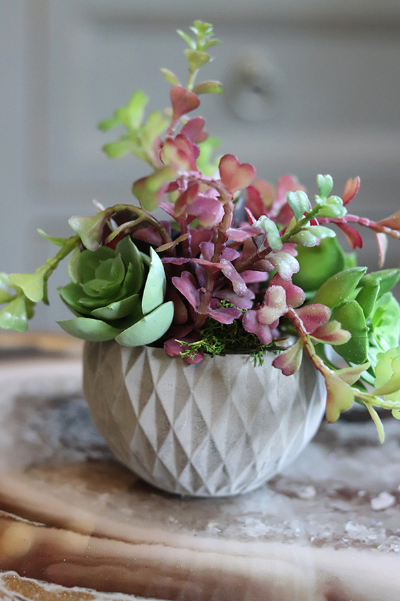 efektowna kompozycja sukulenty, Minimal, wys.12cm