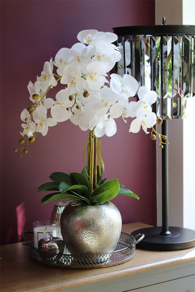 elegancki storczyk w srebrnym kulistym naczyniu, Kumari, wys.72cm 